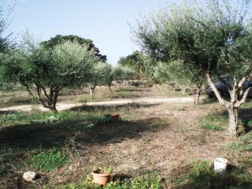 Hania-for-sale-plot-in-Almyrida--3-