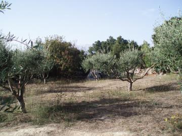 Hania-for-sale-plot-in-Almyrida--13-