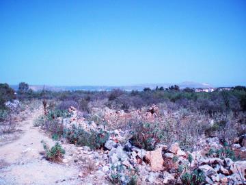 Hania-plot-for-sale-in-Litsarda--4-