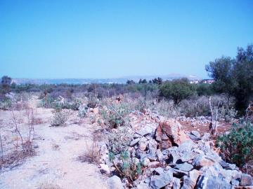 Hania-plot-for-sale-in-Litsarda--8-