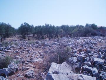 Hania-plot-for-sale-in-Litsarda--11-