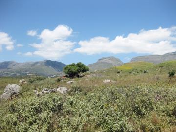 Rethymno-land-for-sale-in-Damnoni-Plakias--10-