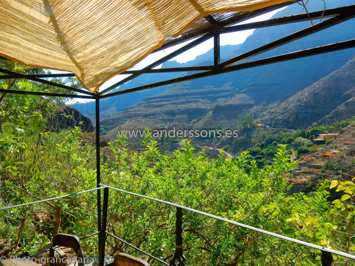 Image No.1-Finca for sale