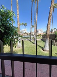 413-for-sale-in-playa-del-ingles-8539-large