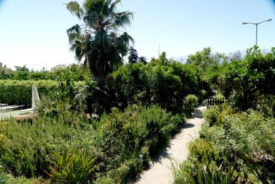 green-orange-villa-garden-8