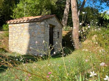 5-garden-house-in-back-garden