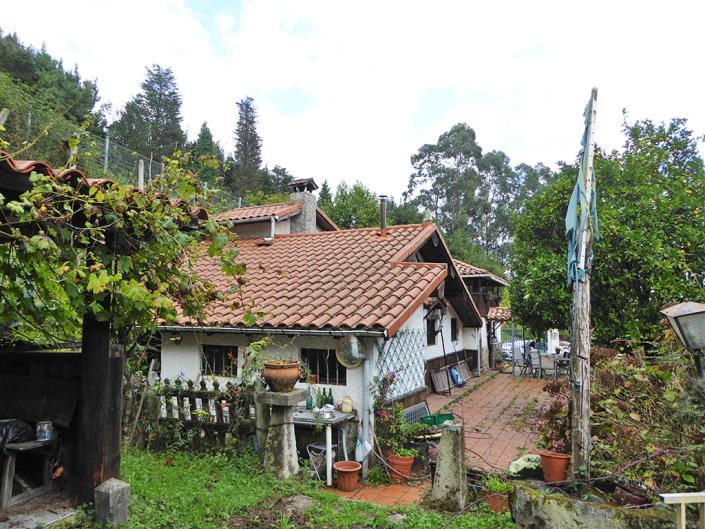 Image No.1-Propriété de pays de 4 chambres à vendre à Asturies