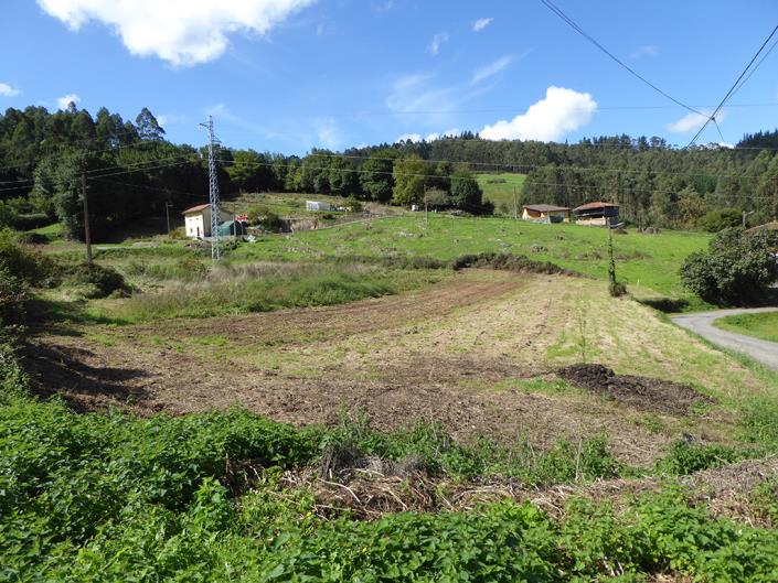 Image No.1-Terrain à vendre à Asturies