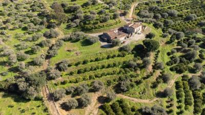 V574-caseggiato-totalmente-immerso--nella-natura-a-pochi-minuti-dal-centro-di-Cefalu----7-