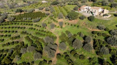 V574-caseggiato-totalmente-immerso--nella-natura-a-pochi-minuti-dal-centro-di-Cefalu----11-