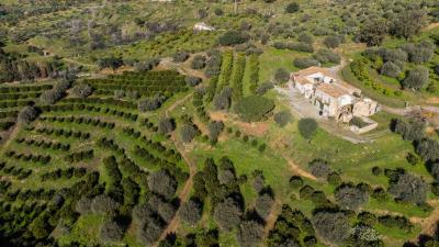 V574-caseggiato-totalmente-immerso--nella-natura-a-pochi-minuti-dal-centro-di-Cefalu----12-