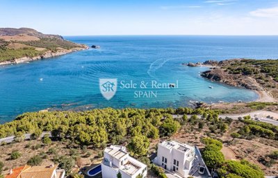 Sale And Rental Spain most sold property