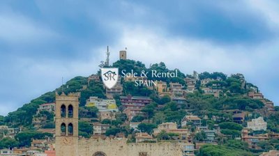 Sale And Rental Spain most sold property