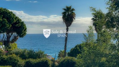 Sale And Rental Spain most sold property