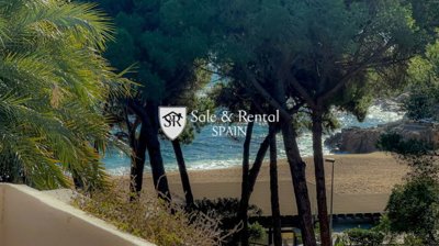 Sale And Rental Spain most sold property