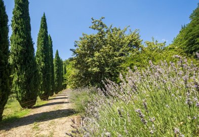 incantevole-casale-sulle-colline-fiorentine24