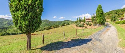 charming-farmhouse-in-tuscany-for-sale-16