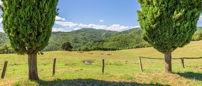 charming-farmhouse-in-tuscany-for-sale-13