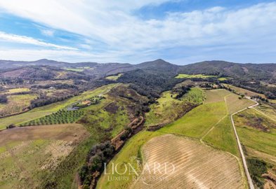 meravigliosa-fattoria-circondata-dalle-vigne-