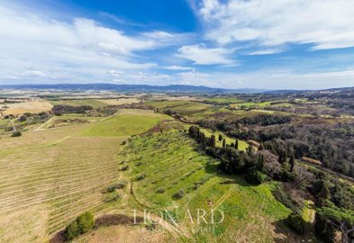 meravigliosa-fattoria-circondata-dalle-vigne-