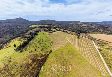 meravigliosa-fattoria-circondata-dalle-vigne-