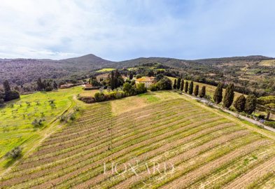 meravigliosa-fattoria-circondata-dalle-vigne-