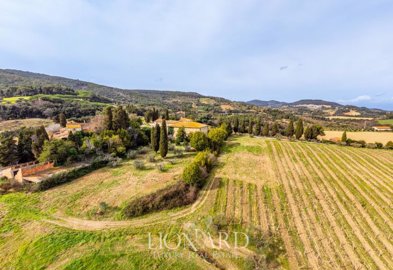 meravigliosa-fattoria-circondata-dalle-vigne-