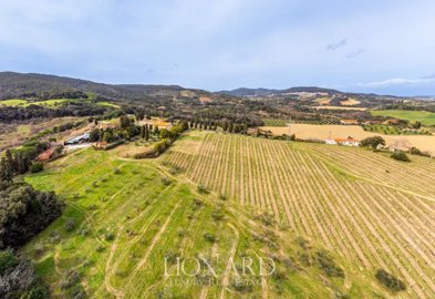 meravigliosa-fattoria-circondata-dalle-vigne-