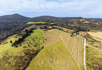 meravigliosa-fattoria-circondata-dalle-vigne-