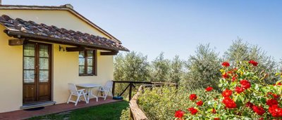 prestigioso-agriturismo-immerso-tra-gli-ulivi