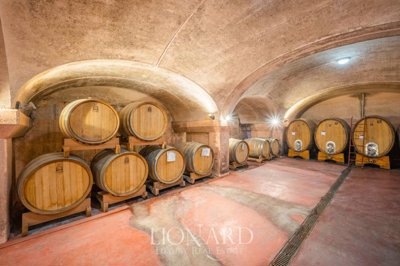 tenuta-emiliaromagna-214