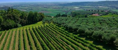 tenuta-veneto-09