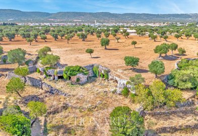 masseria-puglia-103