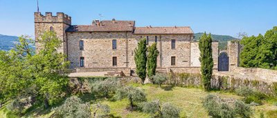 magnificent-castle-for-sale-in-emilia-romania