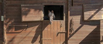 exclusive-property-with-a-horse-farm-for-sale