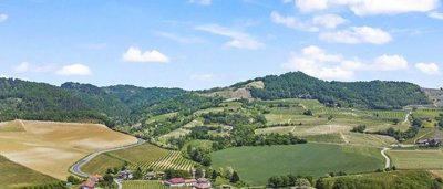 exclusive-property-in-piedmont-for-sale49