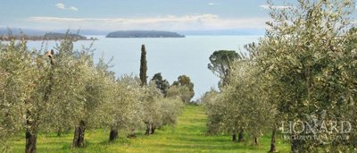 995trasimeno8