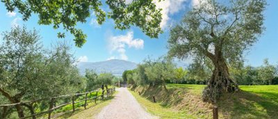 charming-farmhouse-in-umbria-for-sale22