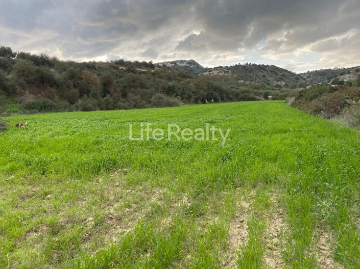 Image No.1-Land for sale