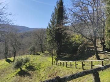 Casentino_Poppi_stone_built_villa_with_pool_for_Sale--22---FILEminimizer-