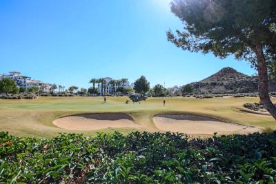 Beautiful-south-facing-frontline-golf-3-bed-2-bath-alcor-villa-on-El-Valle-Golf-Resort-37